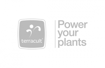 Terracult International GmbH